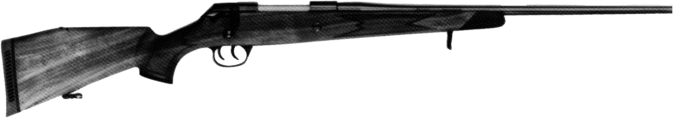 Model Titan