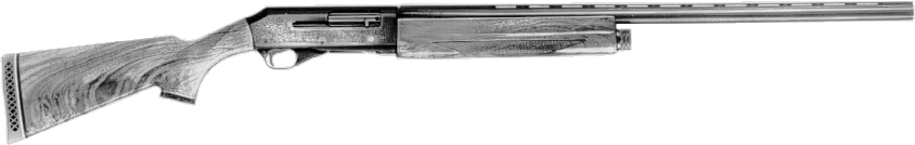 Model 82
