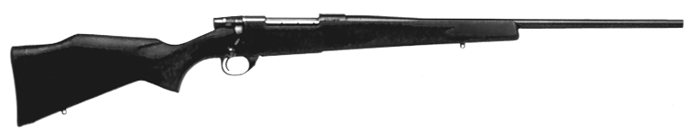Vanguard Synthetic