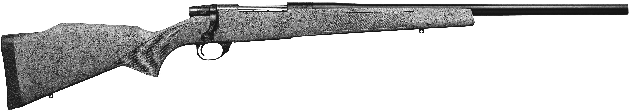 Vanguard Varmint Special