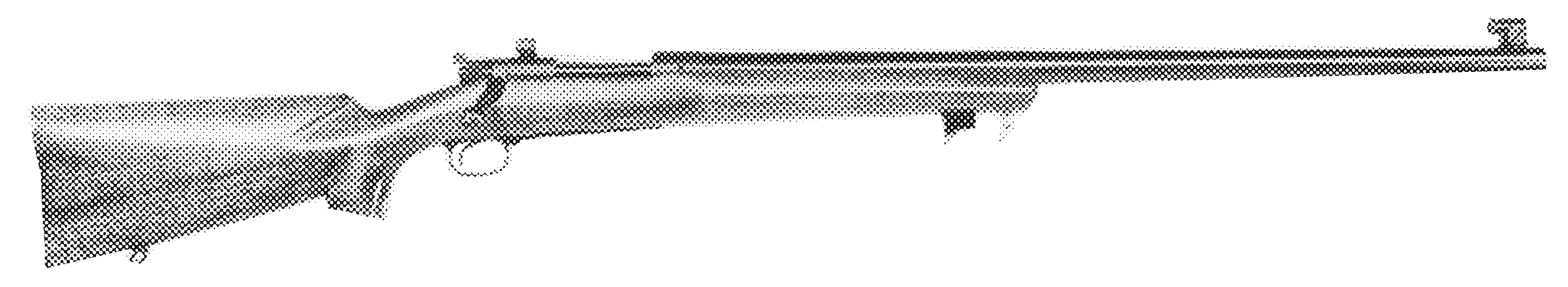 Bull Gun