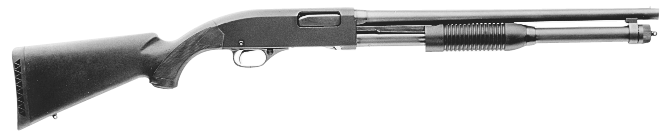 Model 1300 Lady Defender
