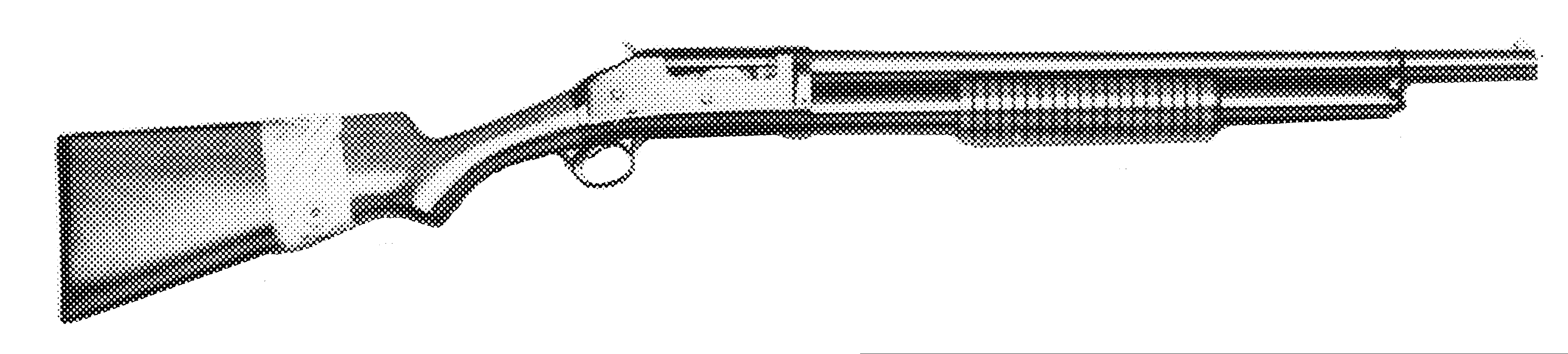 Riot Gun