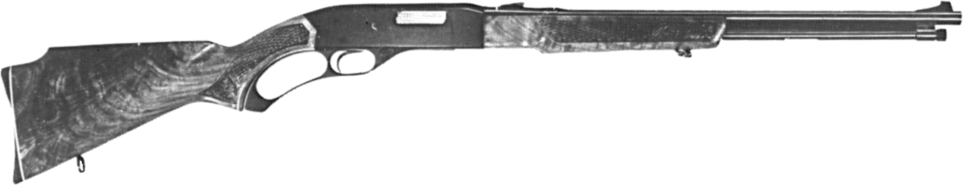 Model 250