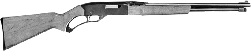 Model 255