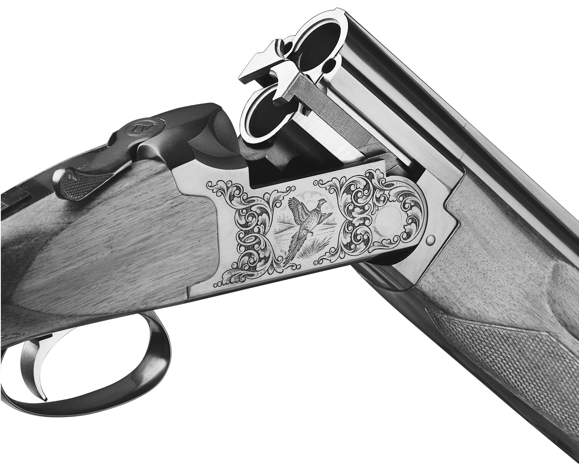 Supreme Field