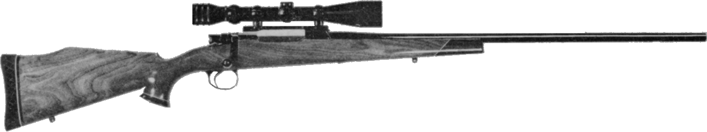 Bolt Action Rifle