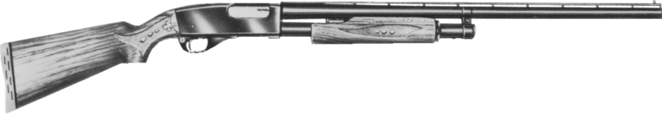 Model 70RLP