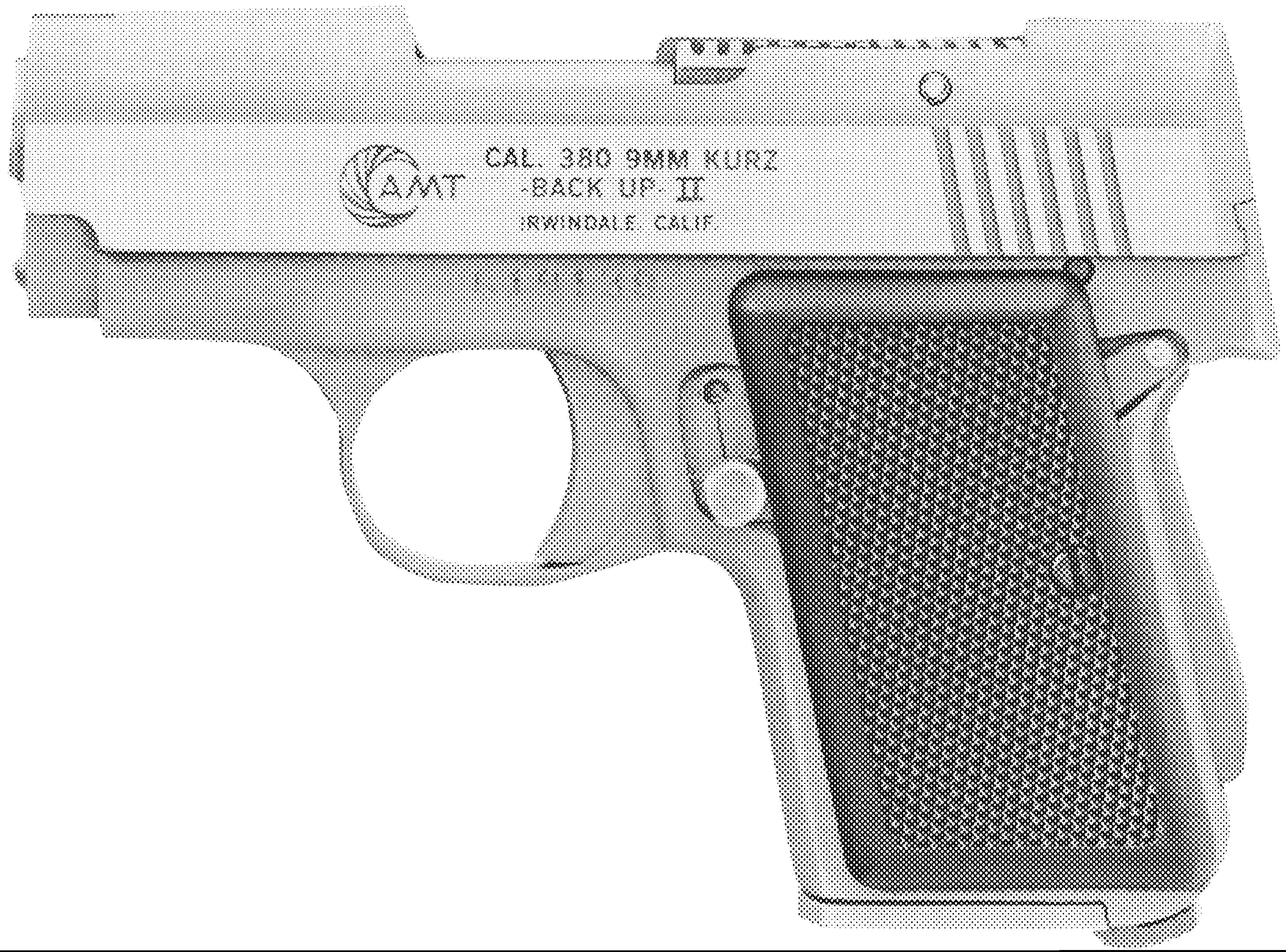 .380 Back Up II