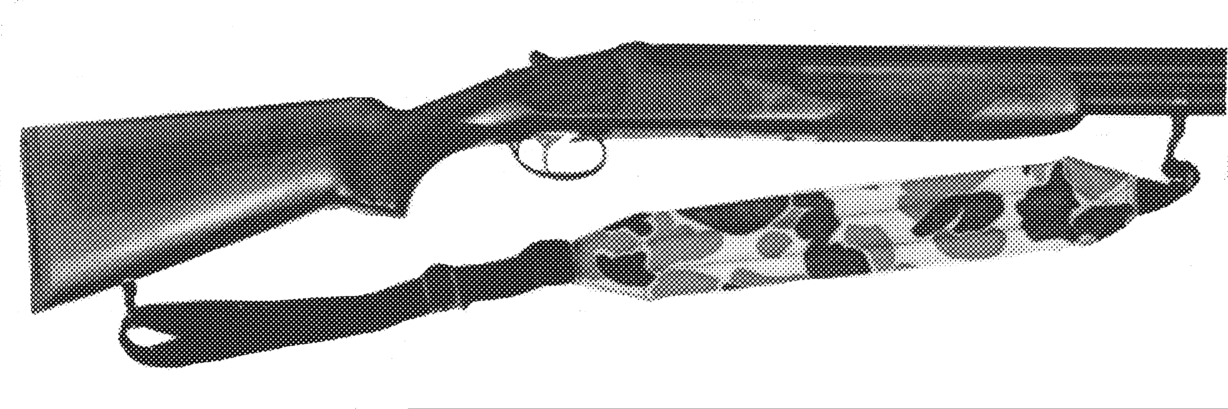 Waterfowl Special