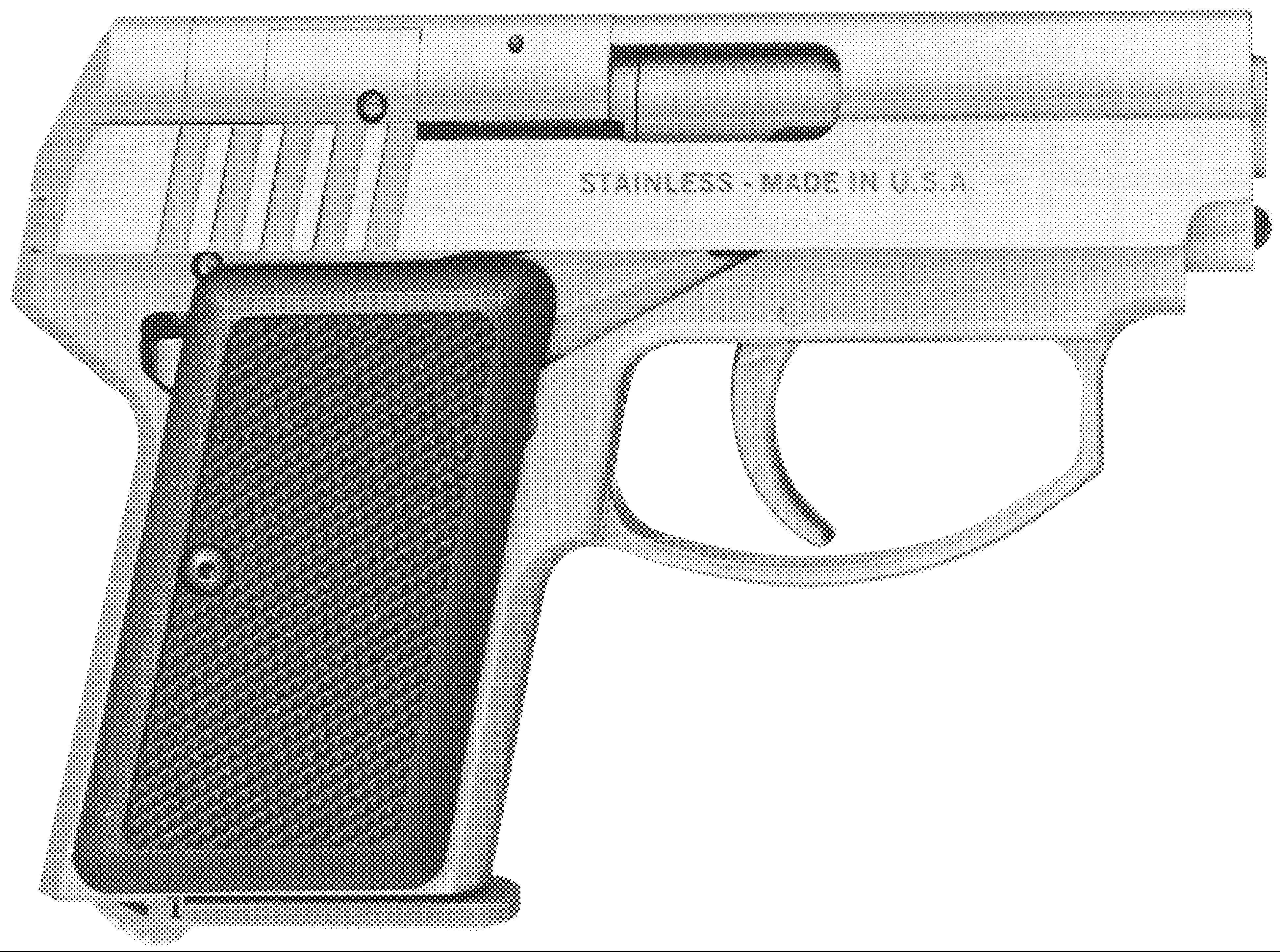 Back Up Pistol .22/.380 