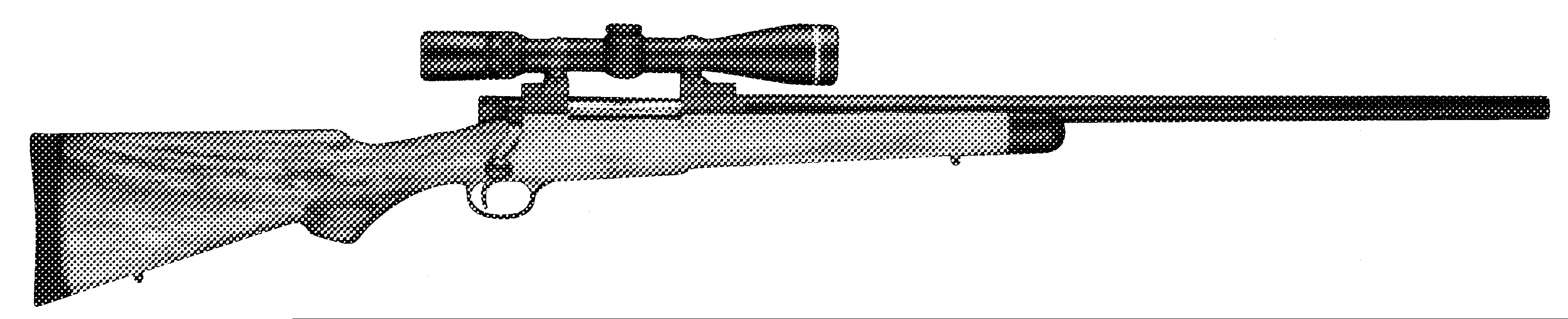 Safari