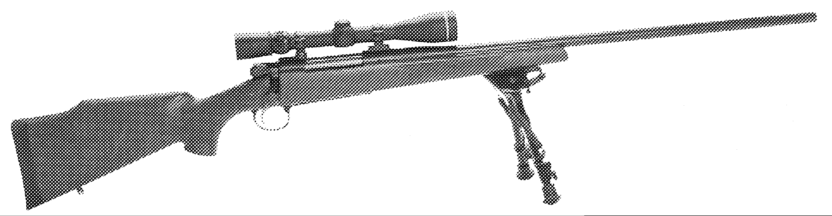 Varminter II