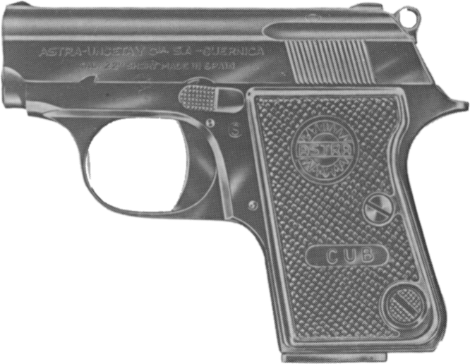 Astra 2000 (Or Cub)