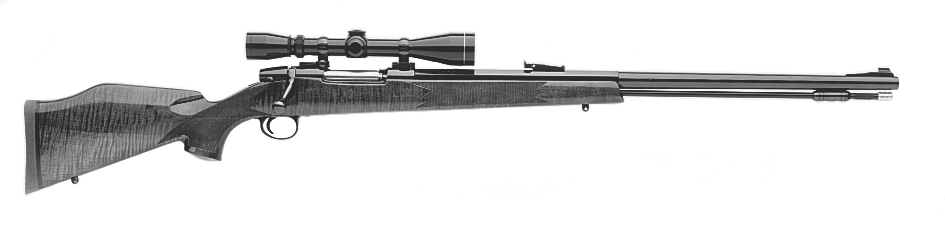 Model 420 LR Monte Carlo