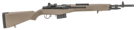 M1A Scout Squad Rifle