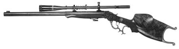 Schuetzen Rifle