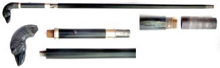 Cane Gun