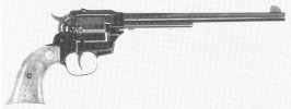 Longhorn