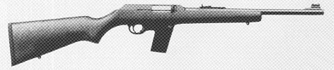 Model 45 Camp Carbine