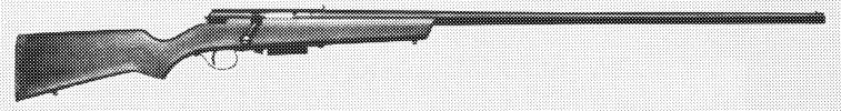 Model 55 Goose Gun