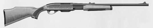 Model 7600 Buckmasters ADF (American Deer Foundation)