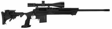 Model 10 BAS Law Enforcement Bolt-Action Rifle