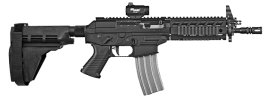 SIG 556 Classic SWAT