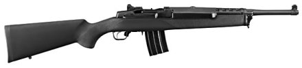 Mini-14 NRA
