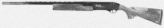 Patrician