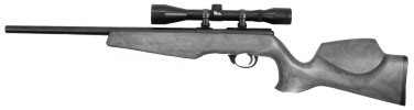 Coyote Target