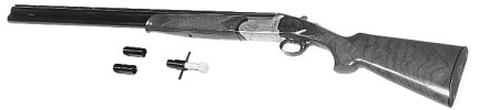 Silver Snipe
