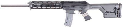 SIG 556 DMR