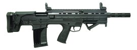 Fear Bullpup