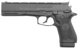 Model 87 Target