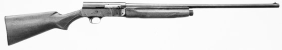 Model 11