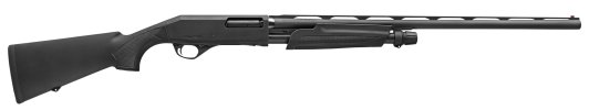Model P3000