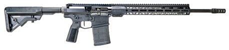 Sentinel AR-10 Rifles