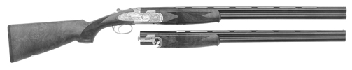 687 EELL/Diamond Pigeon