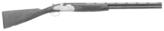 687 EELL/Diamond Pigeon
