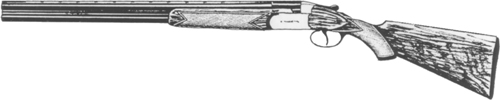 Silver Snipe