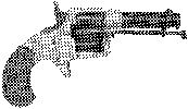 House Model Revolver