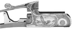 Daytona Grade 4 Engraving