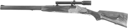 Model 55BSS