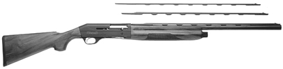 Sport Model