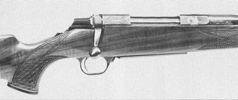 A-Bolt Big Horn Sheep Issue