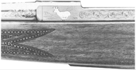 A-Bolt Pronghorn Issue