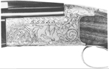 BT-99 Plus—Pigeon Grade