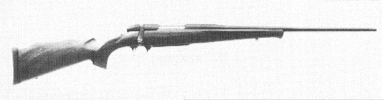 Euro-Bolt