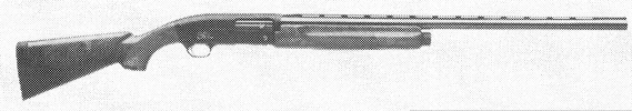 Gold 12 Gauge Hunter